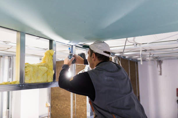 Best Residential Insulation in Fort Hall, ID